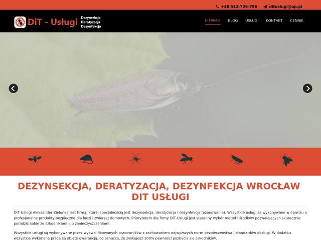 Zobacz DiT-Usługi